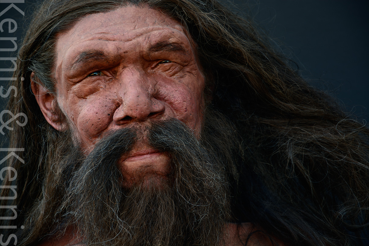 Neanderthaler Altamura Man