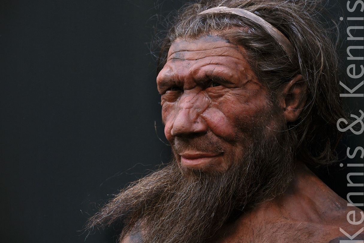 Neanderthal Spy