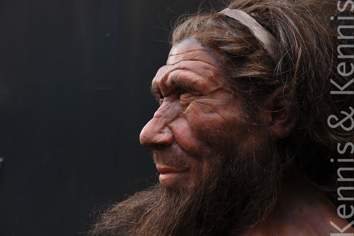 neanderthal spy nhm – Kennis&Kennis Reconstructions