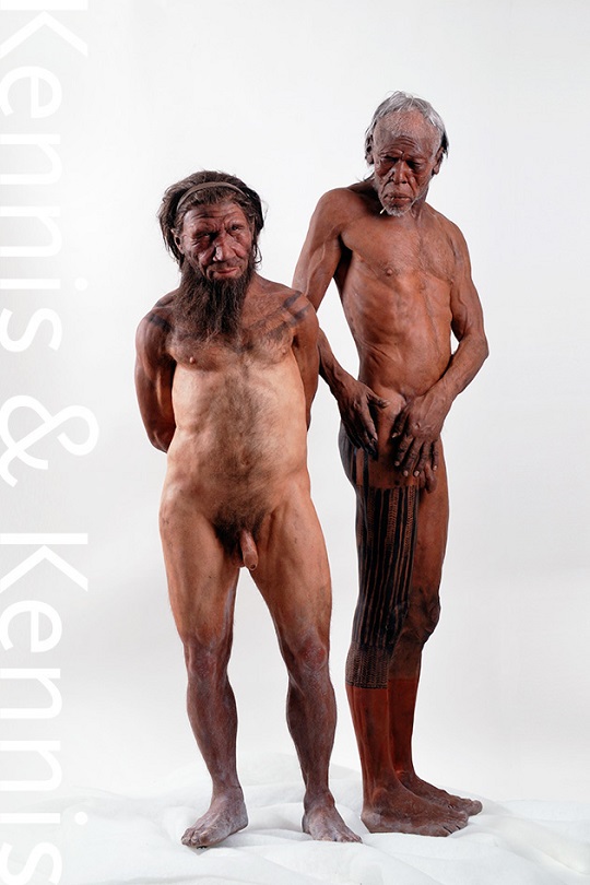Neanderthal and Homo sapiens