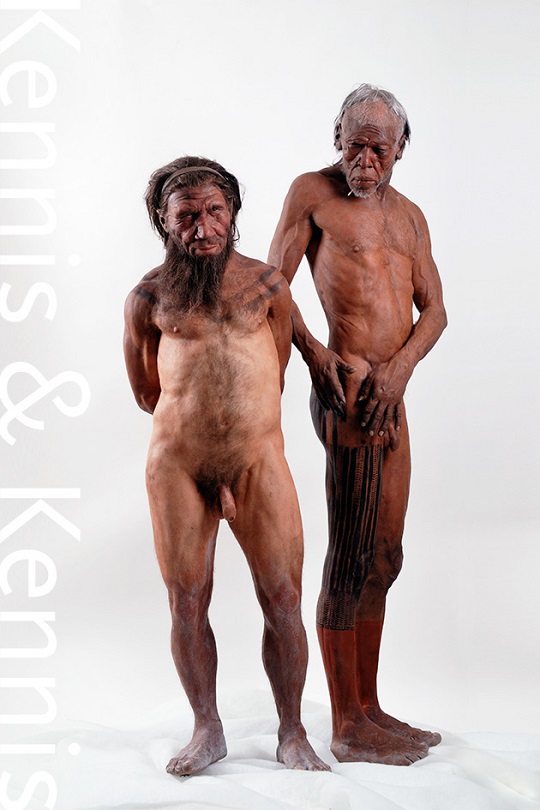 Neanderthal and Homo sapiens