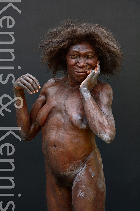 Homo erectus pithecanthropus
