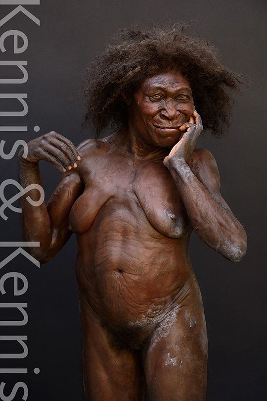 Homo erectus pithecanthropus