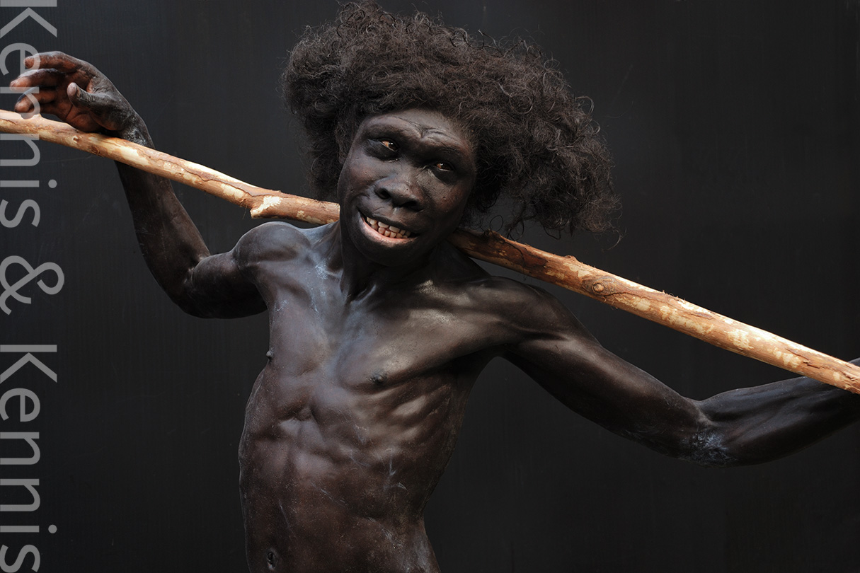 Homo ergaster Turkana Boy