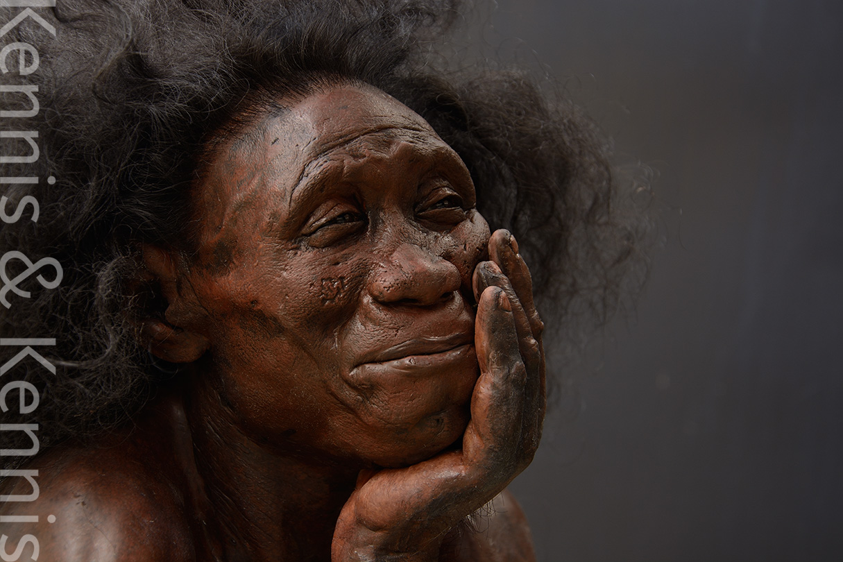 Homo floresiensis