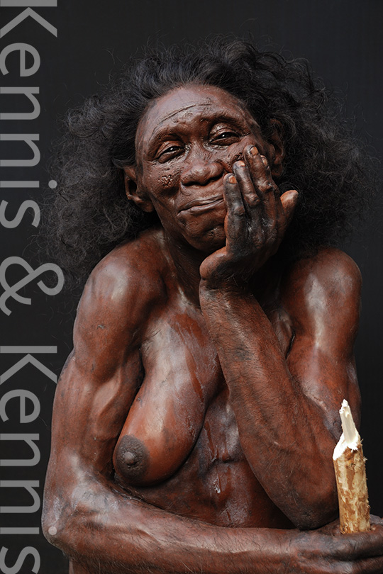 Homo floresiensis