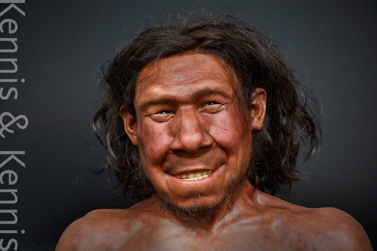 Neanderthal Krijn