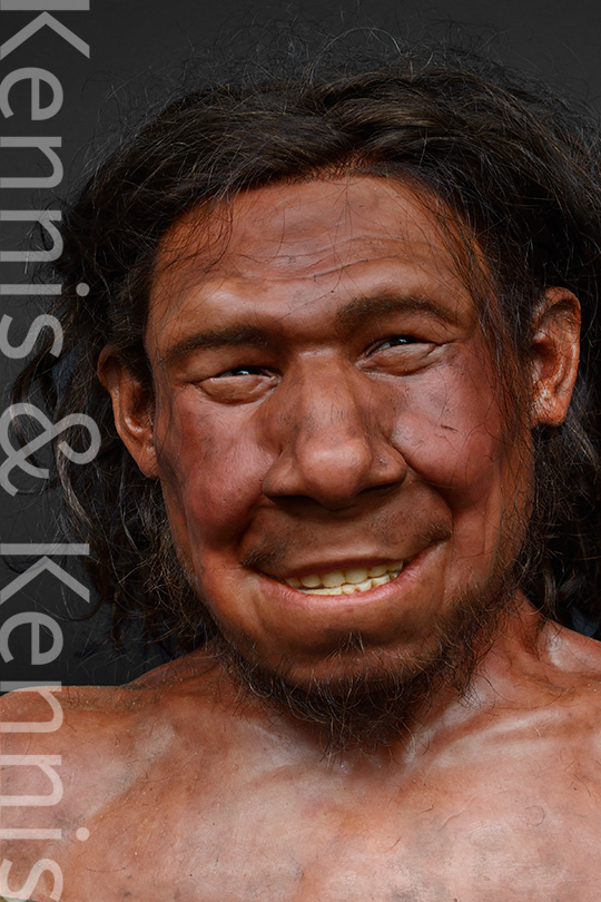 Neanderthal Krijn