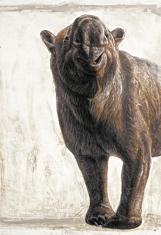 Marsupial Diprotodon optatum, a giant Wombat