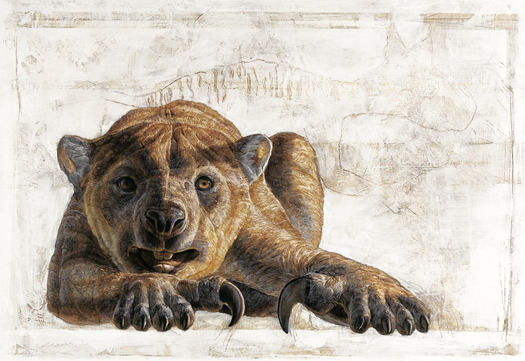 Thylacoleo carnifex, a marsupial lion