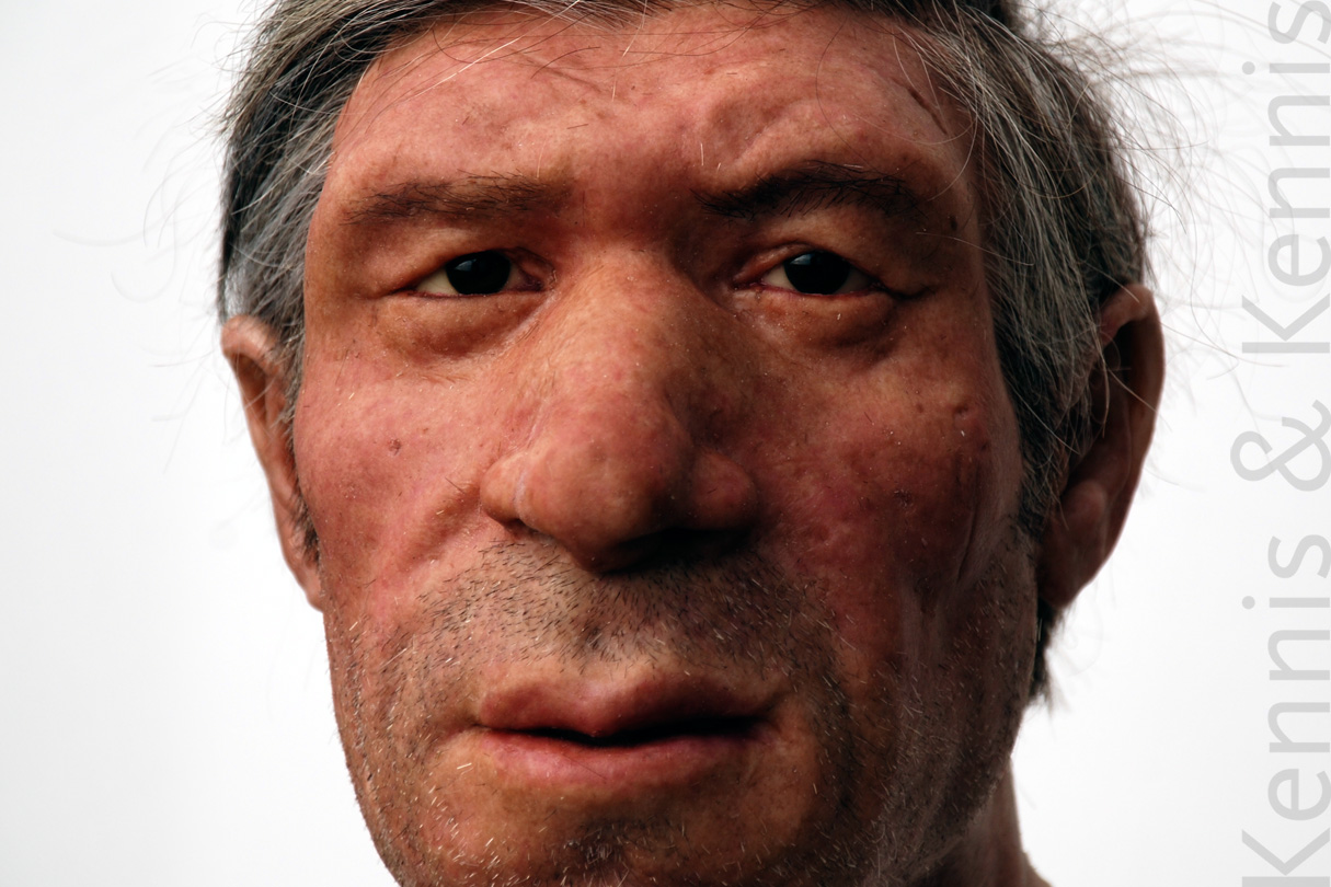 Neanderthal Feldhofer