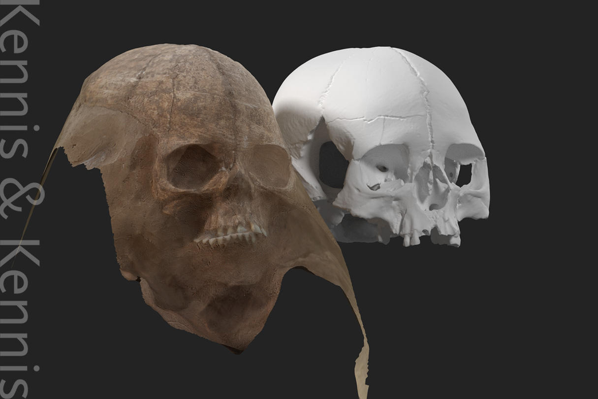 use of additional photogrammetry information to complete the skull