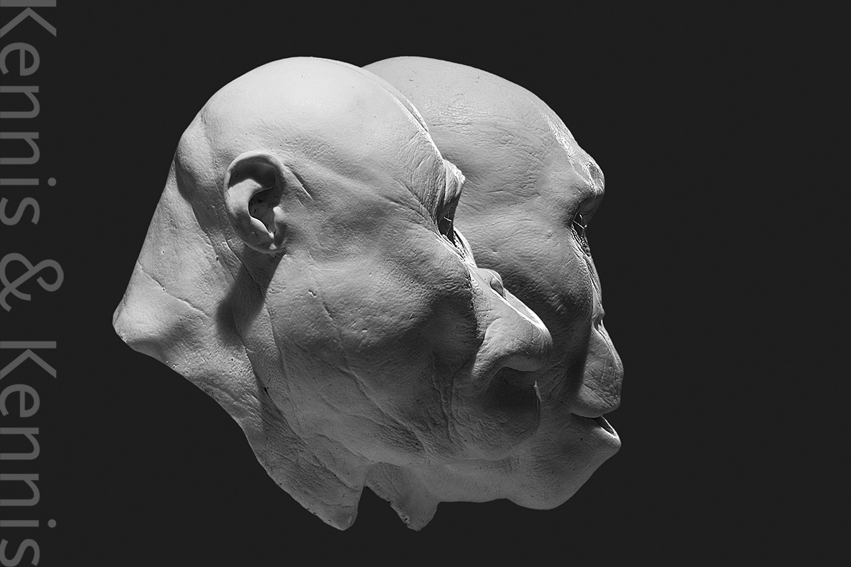 comparing Paranthropus aethiopicus and Paranthropus boisei