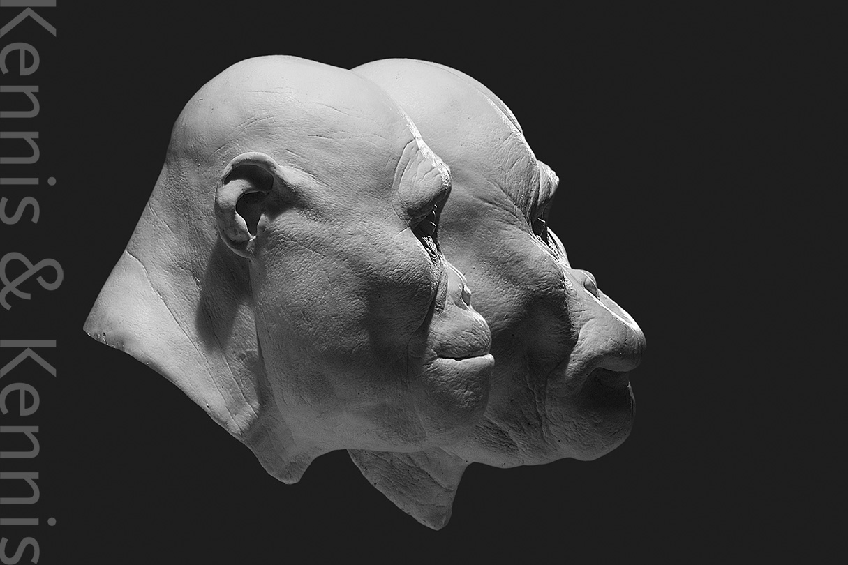 comparison between Australopithecus afarensis and Paranthropus aethiopicus