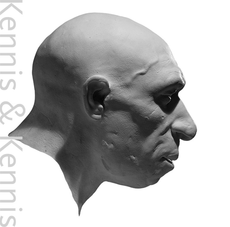 Homo neanderthalensis Feldhofer