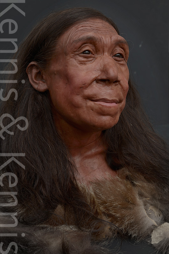 Neanderthal Shanidar Z