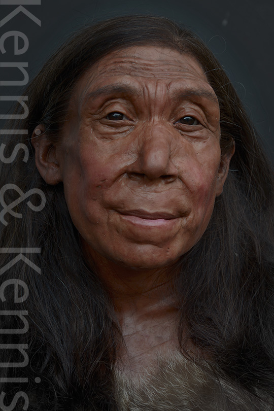 Neanderthal Shanidar Z